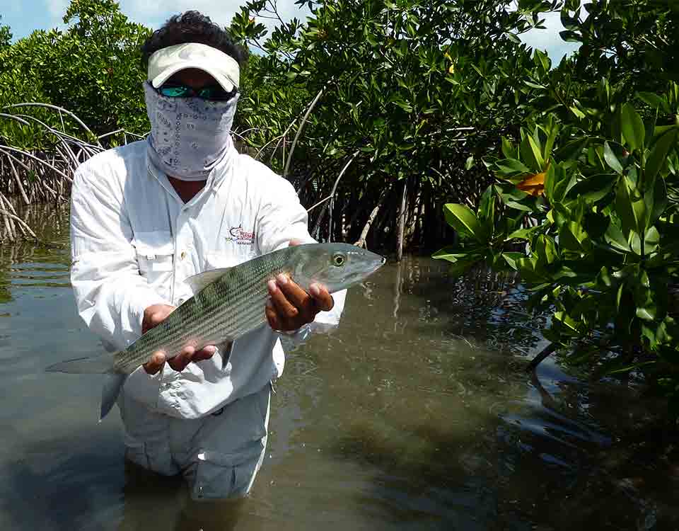 Fly Fishing in Tulum for Bonefish