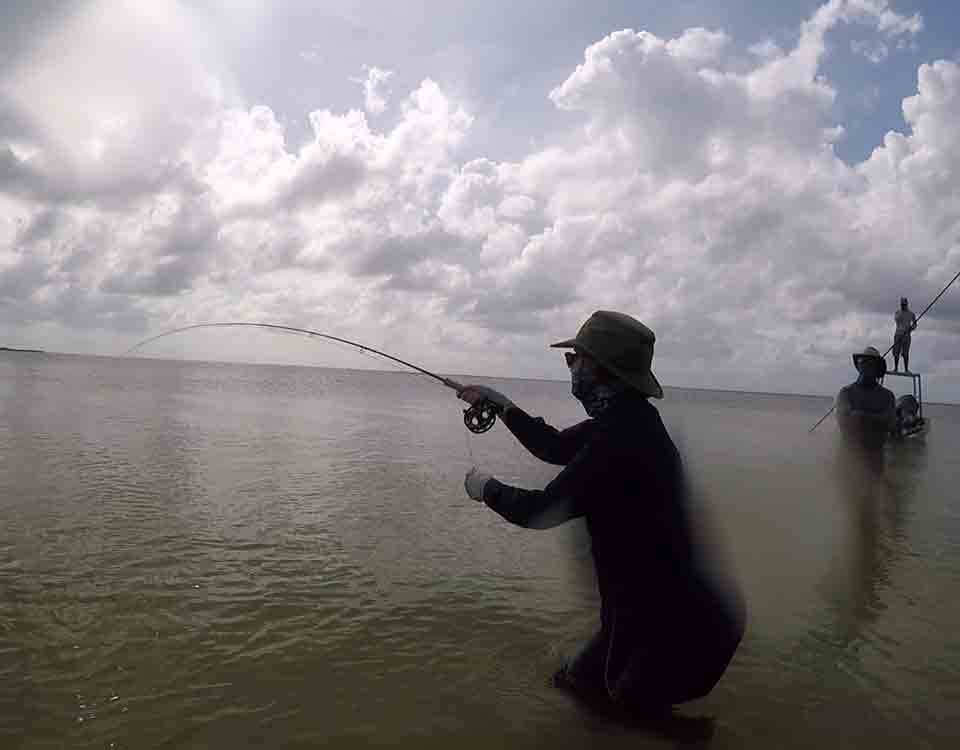 Setting the hook on Bonefish