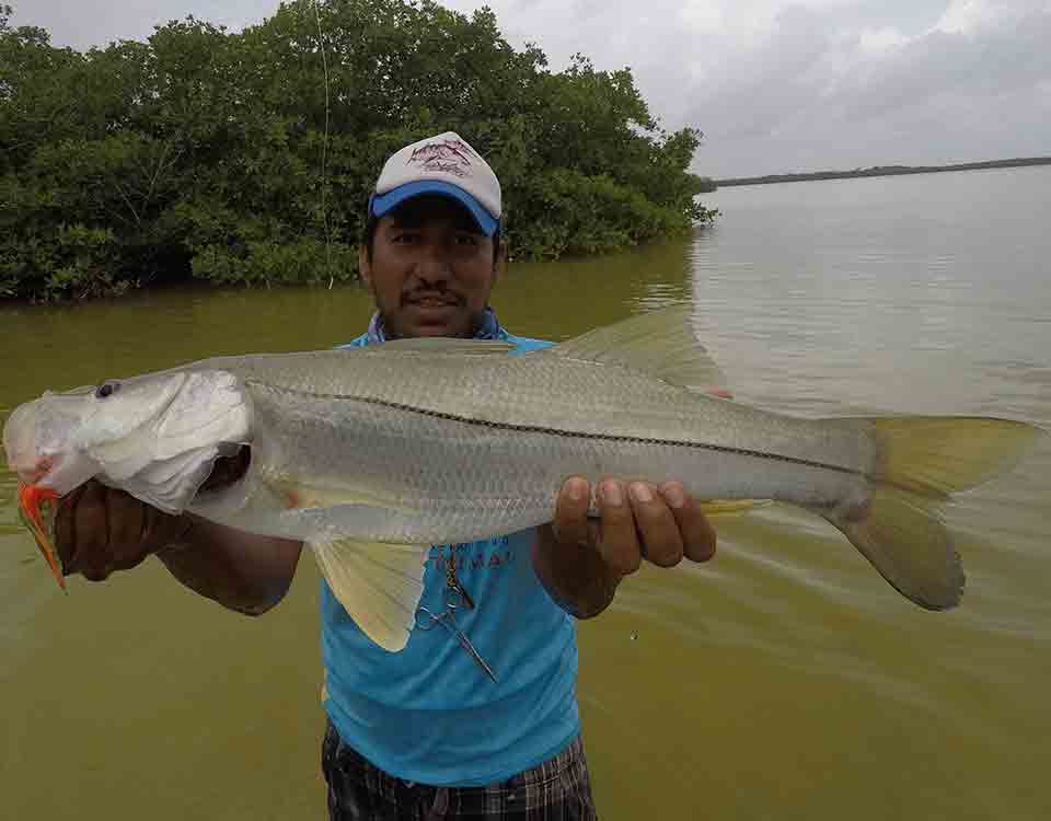Tulum Fly Fishing Charters