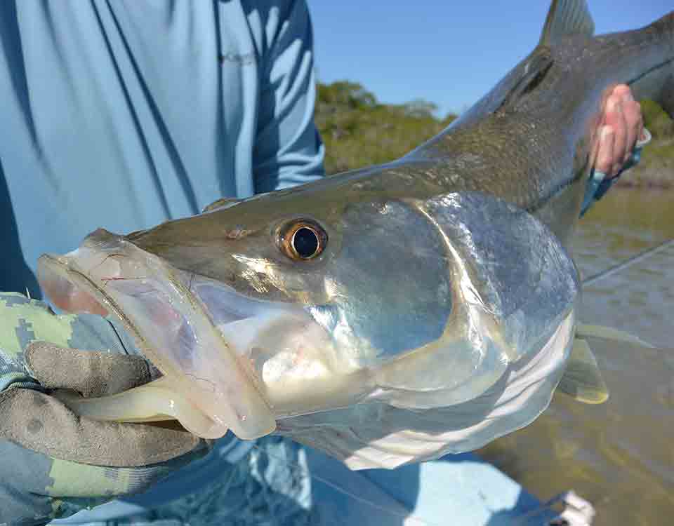 Tulum Fishing Charters 