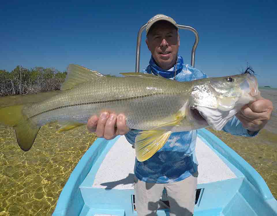 Fly Fishing Snook Tulum Mexico