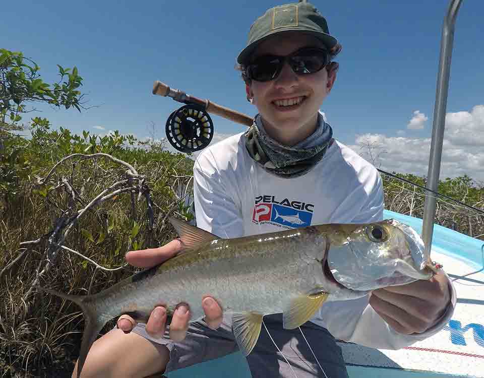 When to fly fish Tarpon in Tulum